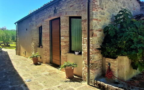 Pieve di Sant Ippolito: Pflanze, Gebäude, Grün, Himmel, Blumentopf, Tür, Fenster, Grundstueck, Zimmerpflanze, Wand