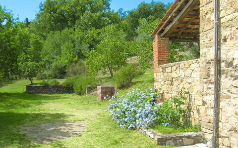 Casa Rossa: Strauch, Garten, Pflanzengemeinschaft, Ländliches Gebiet, Ground, Steinwand, Frühling, Hinterhof, Backstein