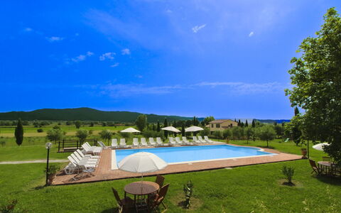 Podere Marcigliano: Garten, Hütte, Bauernhaus, Schatten, Landscaping, Estate, Garten, Hinterhof, Steinwand, Hazienda