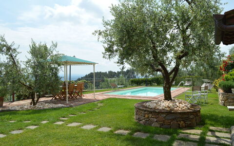 Nel Guasto: Eigentum, Garten, Gras, Hinterhof, Baum, Rasen, Grundeigentum, Haus, Landscaping, Grundstueck