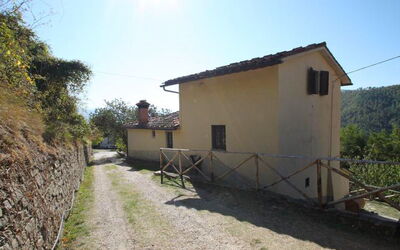 Il Castagneto