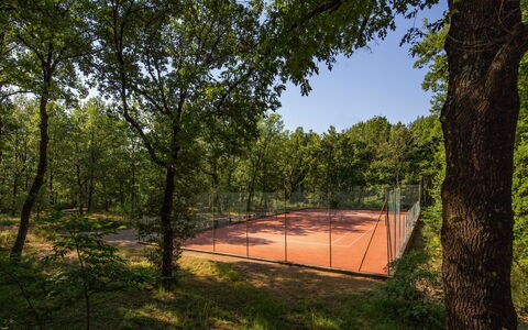 Villa Sant' Angelo: Baum, Ast, Kofferraum, Schatten, Sonnenlicht, Frühling, Wald, Zweig, Hain