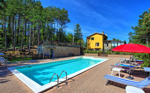 Villa Lorenzo: Schwimmbad, Eigentum, Grundeigentum, Freizeit, Haus, Gebäude, Estate, Resort, Urlaub, Zuhause