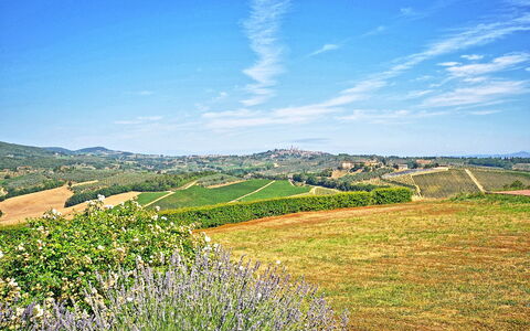 Vittoriana: Himmel, Natürliche Landschaft, Natur, Blau, Grün, Wiese, Hügel, Gras, Natürlichen Umgebung, Wolke