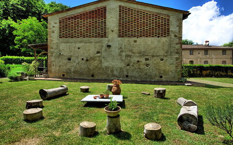Villa Diletta: Gras, Grün, Baum, Grundstueck, Graspflanze, Ländliches Gebiet, Die Architektur, Haus, Garten, Garten
