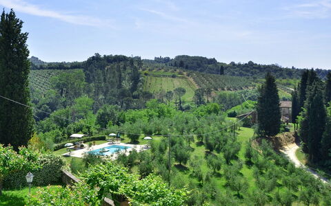 Villa Buonaparte: Vegetation, Natur, Natürliche Landschaft, Bergstation, Naturschutzgebiet, Baum, Biome, Wildnis, Botanik, Berg