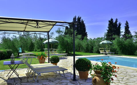 Villa Buonaparte: Eigentum, Terrasse, Schatten, Grundeigentum, Hinterhof, Garten, Gebäude, Landscaping, Haus, Garten