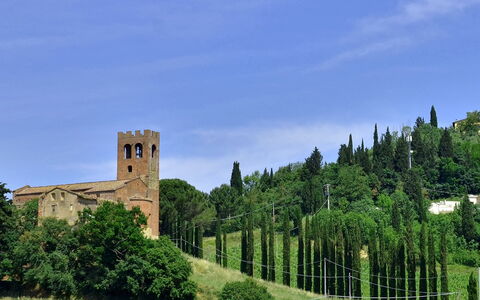 Villa Buonaparte: Natürliche Landschaft, Schloss, Himmel, Baum, Gebäude, Befestigung, Die Architektur, Geschichte, Gras