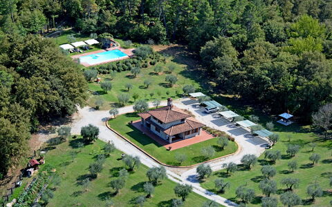 La Casetta nel Bosco: Eigentum, Pflanze, Gebäude, Grundstueck, Urban Design, Baum, Gras, Freizeit, Wohngebiet, Ländliches Gebiet