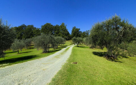 La Casetta nel Bosco: Estate, Bauernhaus, Garten, Landscaping, Hazienda, Rasen, Villa, Garten, Hinterhof, Villa