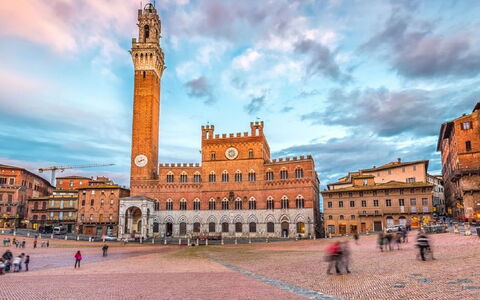 L'Oliviera