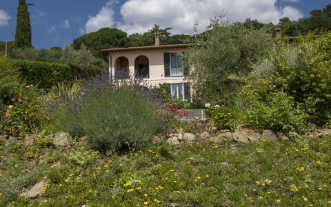 Olindia: Vegetation, Eigentum, Haus, Natürliche Landschaft, Botanik, Pflanzengemeinschaft, Grundeigentum, Garten, Baum, Ländliches Gebiet