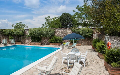 Olivo Secolare: Schwimmbad, Eigentum, Haus, Grundeigentum, Urlaub, Gebäude, Freizeit, Hinterhof, Estate, Zuhause