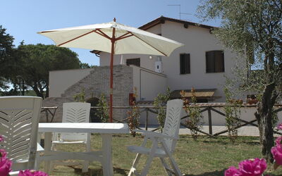Bouganville 1