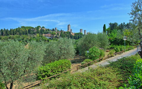 Poggiluglio: Vegetation, Baum, Biome, Wildnis, Himmel, Stadtgebiet, Botanik, Pflanze, Hügel, Garten