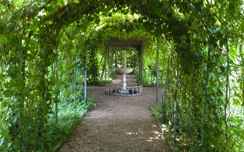 Villa Quattro Mori: Garten, Rasen, Landscaping, Schatten, Gartenmöbel, Park, Hazienda, Estate, Garten, Eco Hotel