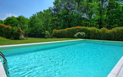 Casa Ovile: Wasser, Pflanze, Himmel, Schwimmbad, Grün, Azurblau, Rechteck, Schatten, Baum, Gras