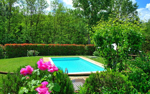 Casa Ovile: Wasser, Pflanze, Wolke, Blume, Himmel, Natur, Botanik, Natürliche Landschaft, Baum, Schwimmbad