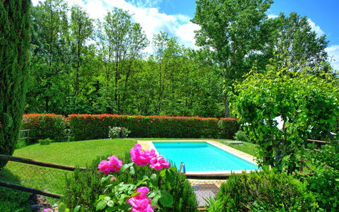 Casa Ovile: Blume, Wasser, Pflanze, Himmel, Wolke, Grün, Natürliche Landschaft, Botanik, Baum, Vegetation