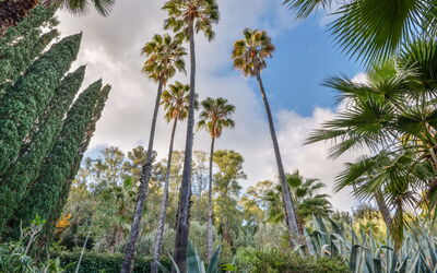 Unterkunft:&nbsp;Villa le Palme 400.11