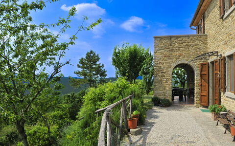 Casetta i Ciliegi: Garten, Hütte, Bauernhaus, Schatten, Landscaping, Estate, Garten, Hinterhof, Steinwand, Hazienda