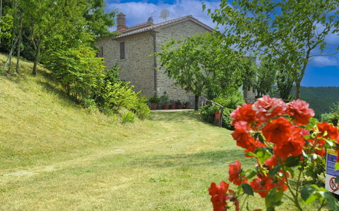 Casetta i Ciliegi: Garten, Hütte, Bauernhaus, Schatten, Landscaping, Estate, Garten, Hinterhof, Steinwand, Hazienda