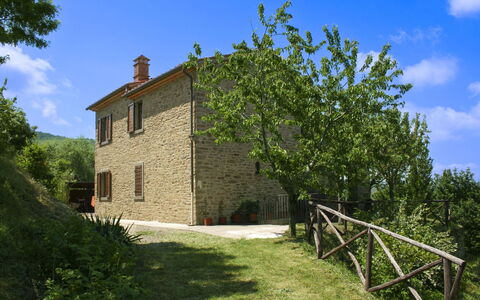 Casetta i Ciliegi: Garten, Hütte, Bauernhaus, Schatten, Landscaping, Estate, Garten, Hinterhof, Steinwand, Hazienda