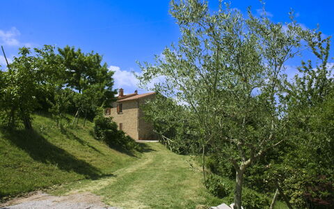 Casetta i Ciliegi: Garten, Hütte, Bauernhaus, Schatten, Landscaping, Estate, Garten, Hinterhof, Steinwand, Hazienda