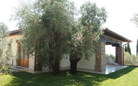 Villa Dei Cipressi: Eigentum, Baum, Haus, Zuhause, Grundeigentum, Gebäude, Gras, Garten, Gehölz, Pflanze
