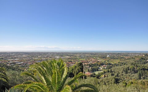 Villa Camaiore: Vegetation, Himmel, Baum, Pflanzengemeinschaft, Shrubland, Botanik, Palme, Horizont, Pflanze, Hügel