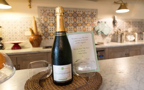 Villa Nova: Trinken, Champagner, Wein, Alkoholisches Getränk, Glasflasche, Flasche, Weinflasche, Likör