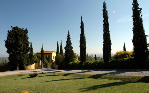 La Valle: Baum, Himmel, Gras, Gehölz, Die Architektur, Pflanze, Landschaft, Park, Garten, Landscaping