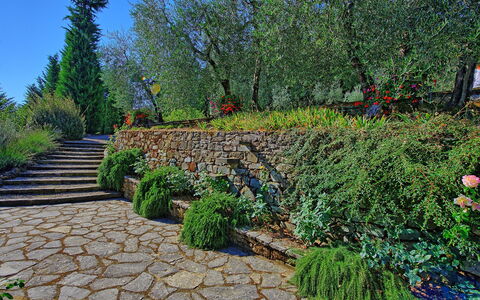 Villa Montalcino: Garten, Vegetation, Wand, Baum, Pflanze, Walkway, Botanischer Garten, Botanik, Landschaft, Graspflanze