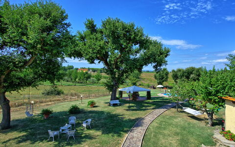 Casa Catia: Eigentum, Baum, Grundeigentum, Garten, Transport, Garten, Haus, Grundstueck, Ländliches Gebiet, Zuhause