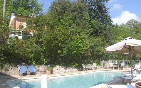 Villa La Quercia: Wasser, Pflanze, Himmel, Gebäude, Wolke, Azurblau, Schwimmbad, Baum, Gartenmöbel, Schatten