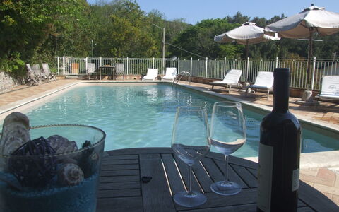 Villa Il Castagno: Wasser, Eigentum, Schwimmbad, Azurblau, Pflanze, Baum, Gartenmöbel, Flasche, Himmel, Freizeit