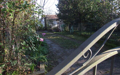 Villa Agrifogli: Transport, Baum, Rad, Gras, Eisen, Pflanze, Haus, Strasse, Fahrzeug