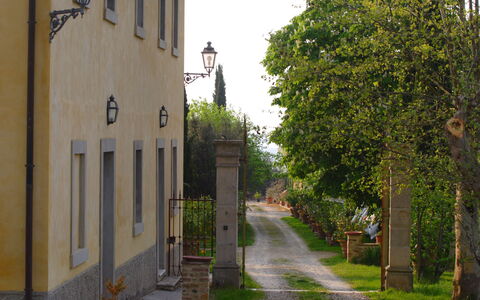 Tenuta Il Tresto: Baum, \Stadt, Strasse, Gasse, Wand, Strasse, Die Architektur, Nachbarschaft, Haus, Gebäude