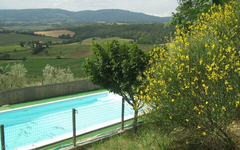 Casale Biancospino: Natürliche Landschaft, Gelb, Baum, Ländliches Gebiet, Gras, Frühling, Wiese, Pflanze, Landschaft, Haus