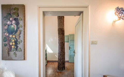 Marina Dei Ronchi Prestige: Eigentum, Zimmer, Wand, Tür, Haus, Interior Design, Zuhause, Fussboden, Gebäude, Baum
