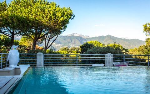 Marina Dei Ronchi Prestige: Natur, Wasser, Schwimmbad, Eigentum, Himmel, Gelb, Baum, Grundeigentum, Urlaub, Freizeit